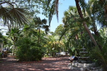 palm%20garden%204.png